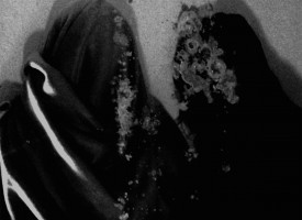 Albumreview: Fluisteraars – Luwte, een desolate trip met black metal, de bloedmaan en Absinth